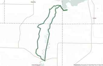 Manistee River Trail